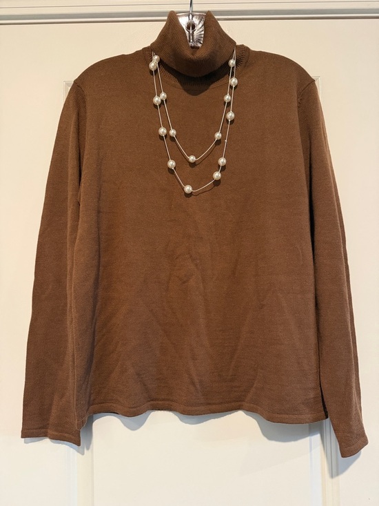 Dialogue Sweaters - Dialogue Chocolate Brown Turtleneck Sweater